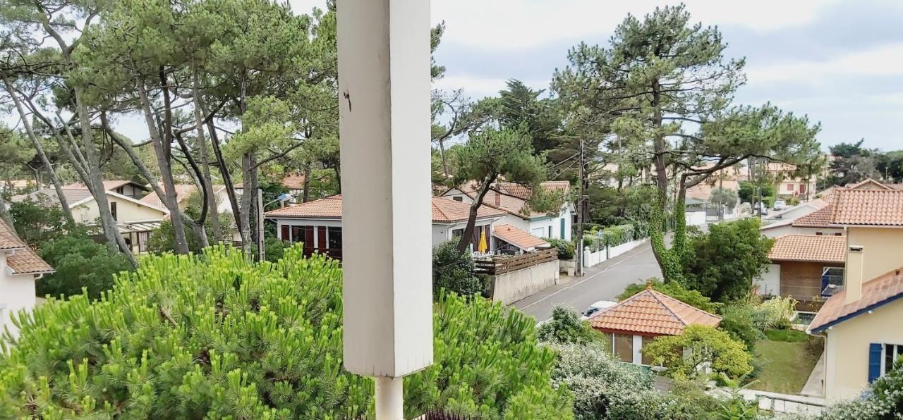 Studio Cosy - La Plage A Pied Capbreton Eksteriør billede